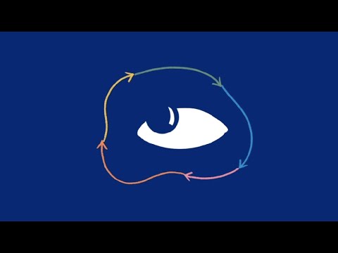 What part of the brain controls the eye?