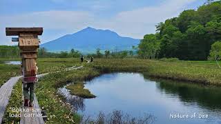 Nature Conservation Activities at Oze National Park