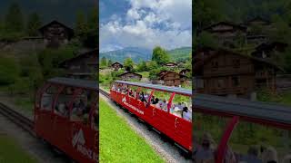 Vacations in Brienz Switzerland 🇨🇭#switzerland #shorts #nature #trains #travel