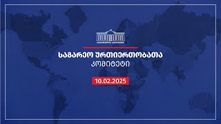 საგარეო ურთიერთობათა კომიტეტის სხდომა - 10.02.2025