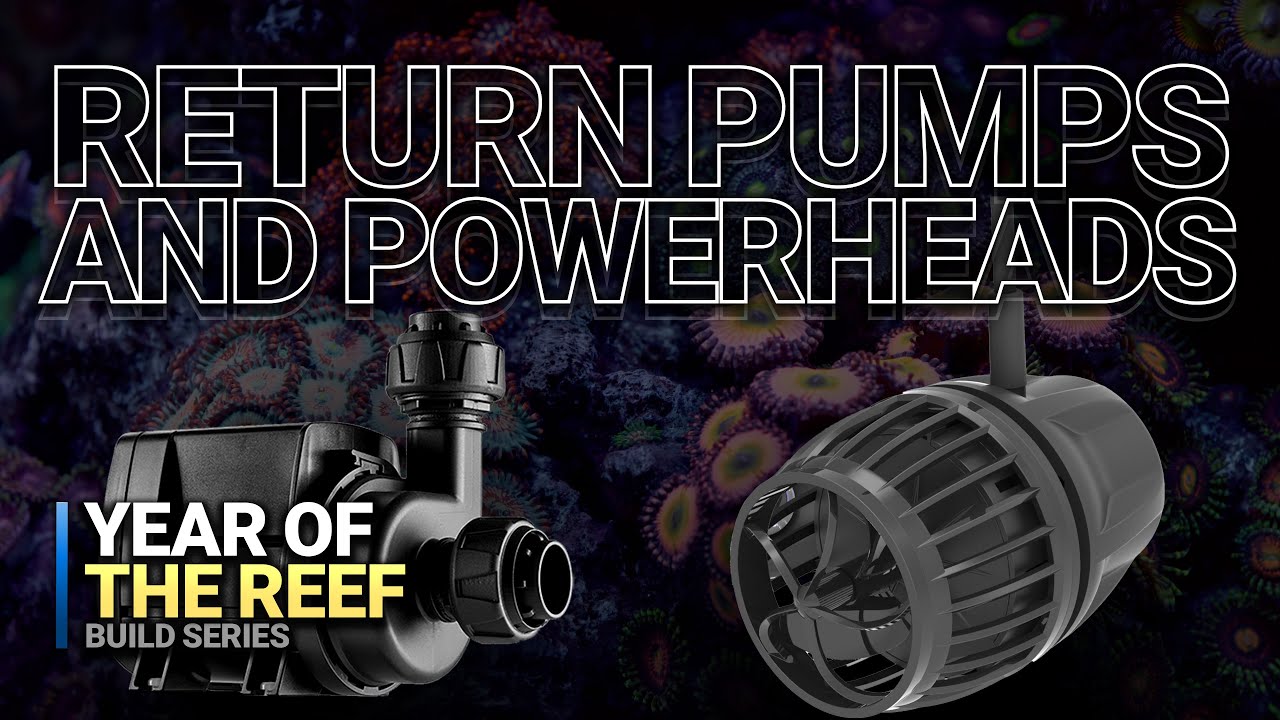 Mastering Flow With Return Pumps Powerheads Year Of The Reef Ep 03