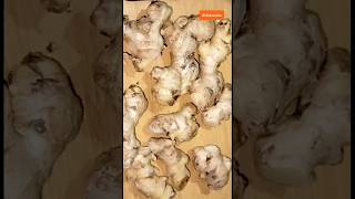 இஞ்சி அழுகி வீணாகாம நிறைய நாள் வர இந்த டிப்ஸ் போதும்|Ginger freshly stored in fridge for longtime