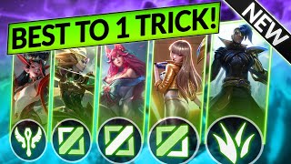 TOP 4 ONE TRICK CHAMPS for EVERY ROLE! - Best Champions to Main - LoL 13.19 Tier List Guide