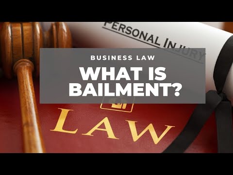 What Is Bailment? | Meaning With Examples & More | Law, Commerce ...