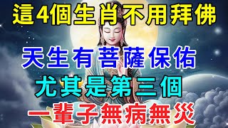 這4個生肖不用拜佛，天生有菩薩保佑！尤其是第三個，一輩子無病無災！ |時來運轉 #風水 #生肖 #運勢 #佛教