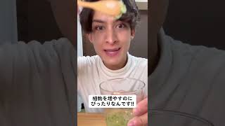 アロエで植物を増やす✨｜そらベジ🥝ガーデンハック