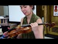 Historic Violins Stradivari, Guarneri, Maggini, De Salo, Bergonzi