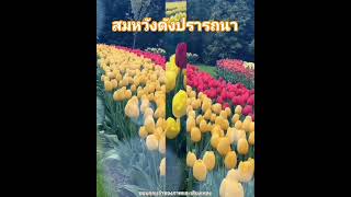 สวัสดีวันจันทร์  ** ไม่เคยรักใครเท่าเธอ ** อรวี สัจจานนท์