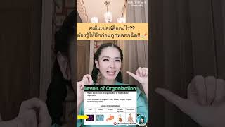 💉 #สเต็มเซลล์​  🧬 คืออะไร? ต้องรู้ให้ลึกก่อนฉีด ⚠️ | DOCTOR​ DAYDREAMER​ #HEALTH101 ep.5 #stemcell