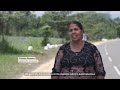 wfp s field pilot demonstration of english paddy maize