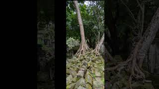 I spent 1 day at a lesser known temple: Beng Mealea #angkorwat #cambodia #trip #travel #asia