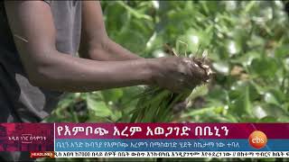 የእምቦጭ አረም አወጋገድ በቤኒን/ Whats New September 5