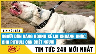 Vì sao Chó Pitbull Ở Long An cắn c,hết người đàn ông.  Diễn biến vụ chó Pitbull cắn chủ. TV24h