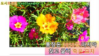 통장돈 3858원 찾은 뒤 보름 후 굶주려 죽은 모자(母子)....