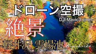 【軽井沢・雲場池】ドローン空撮　紅葉🍁2022  一度は行ってみたい絶景　DJI Mavic3 sine      Karuizawa  swan lake     撮影：軽井沢ホーネッツ