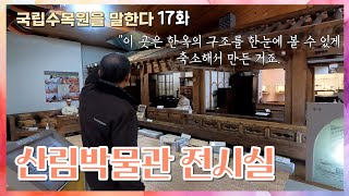 산림박물관 전시실 [국립수목원을 말한다 17화]