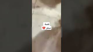 دخلو كملو القصة تال الاخير جد مشوقة #shorts