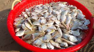 Thoothukudiku fisherman (தூத்துக்குடி மீனவன்)