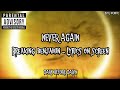 BREAKING BENJAMIN - NEVER AGAIN (LYRICS ON SCREEN)