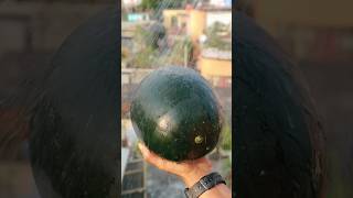 তরমুজের মকটেল শীতকালেও সেরা #shorts #watermelon #mocktail #drink #viral #recioe #asmr