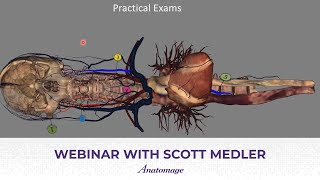 Anatomage Webinar with Scott Medler | How to Build an Anatomy Curriculum with the Anatomage Table
