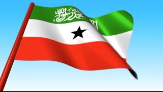 Warbixin Diirada Saaraysa Garoomada Diyaaradaha Somaliland Iyo Dareenka Mucaaradka