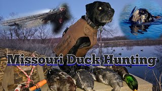 Missouri Duck Hunting | KOAM Outdoors Waterfowl Hunting