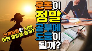 신체활동은 공부에 정말 도움이 될까? 운동이 뇌에 어떤 긍정적인 영향을 미칠까? 공부하기전 간단한 운동은 공부에 큰 도움이 된다.