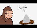 Creatine Explained By Monkey – The Secret to More Strength & Energy! 💪 #motivationalvideo #gymtips