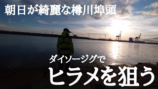 【ヒラメ釣り】北海道樽川埠頭にてダイソージグで釣ってみました。おまけ付き。