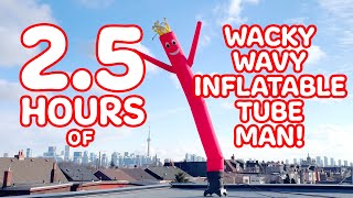 2.5 Hours of Wacky Wavy Inflatable Flailing Arm Tube Man