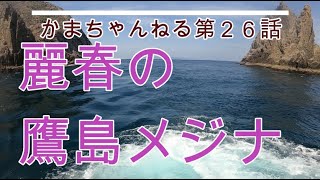 昨年の動画です。尾長グレねらいで麗春の津倉瀬へ出撃したものの天候やうねりの関係で手前の鷹島に渡礁し見えるメジナを釣った件