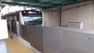 E233系7000番台ハエ119編成特急海老名行きかしわ台駅通過