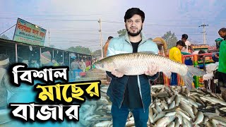 রাজশাহীর সবচেয়ে বড় মাছের বাজার 🇧🇩 বায়া মাছের আড়ত 🐠 মাছের দরদাম কেনাবেচা নিলাম দেখুন