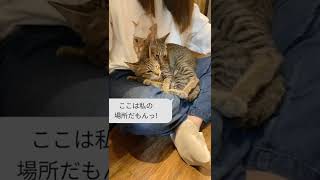 かずこ vs あきこ お客様のお膝を巡り攻防戦！