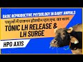 Tonic LH Release and LH Surge - Basic Reproductive Physiology in Dairy Animals