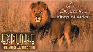 Explore the Wildlife Kingdom | Lions: Kings of Africa | Full Movie | Grant Goodeve