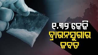 Odisha STF Seizes 1.32 Kg of Brown Sugar in Khordha