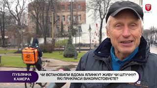 Чи встановили вдома ялинку? Живу чи штучну? Які прикраси використовуєте?