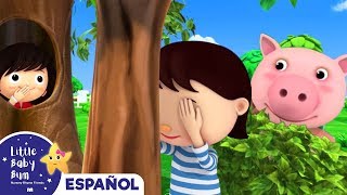 Canciones Infantiles | Canción del Escondite | Dibujos Animados | Little Baby Bum en Español