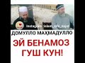 Домулло Маҳмадулло Ей бенамоз гуш кун