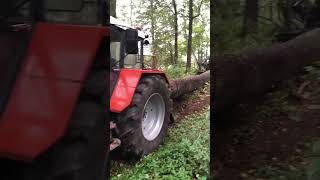 ZETOR 16245 Power Wheelie #tractor #forestry #turbo #zetor