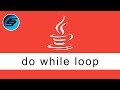 do while loop - Java Programming