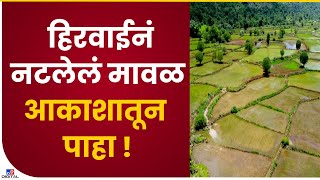 Maval | मावळमध्ये ऊन-सावलींचा खेळ रंगतोय,मन प्रसन्न करणारं वातावरण-tv9