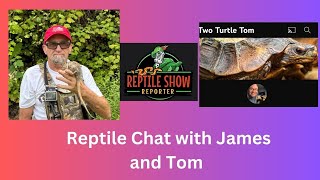 Reptile Talk