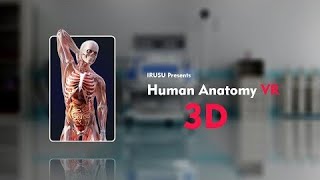 all' Human body internal 3D parts || human physiology || all 3d animation video 📷 #3danimation