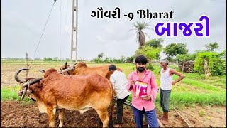 વાવણી માં શેતરિય ગયા ||  Vavni Ma Setaray gayat  || vavanie 2024