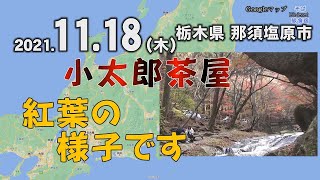 【紅葉】2021年11月18日の紅葉状況・那須塩原市の小太郎茶屋　栃木県