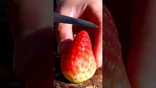 How to Cut Any Fruit Like a Pro🥝🥭🍎🍒🫐 #shorts#oddly satisfying#Nature#4K#food