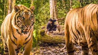 Tollywood Blockbuster Mohanlal With Tiger Scene | Telugu Movies | Cinema Chupistha
